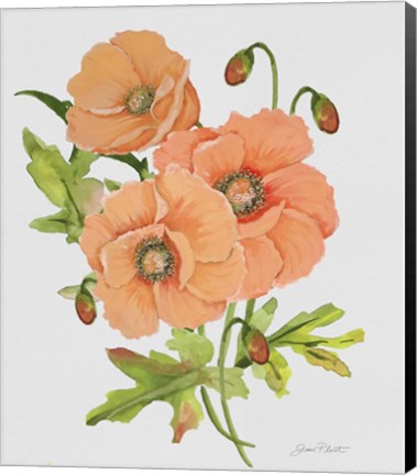Framed Botanicals 5 Print
