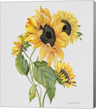 Framed Botanicals 8 Print