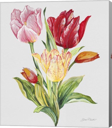 Framed Botanicals 9 Print