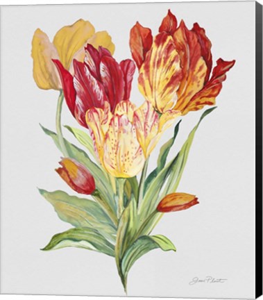 Framed Botanicals 10 Print