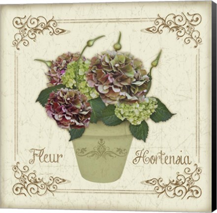 Framed Fleur Hortensia 2 Print