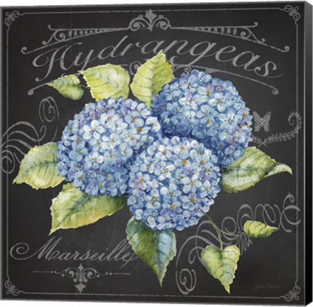 Framed Hydrangeas 1 Print
