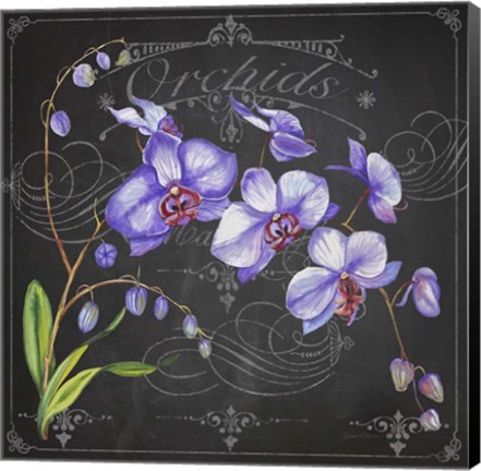 Framed Orchids 1 Print