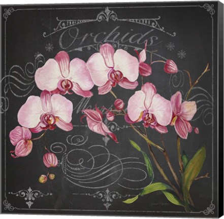 Framed Orchids 2 Print