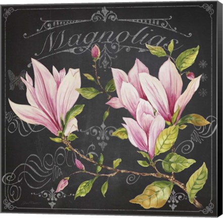 Framed Magnolias 1 Print