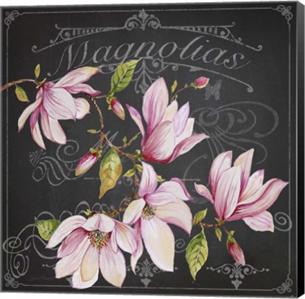 Framed Magnolias 2 Print
