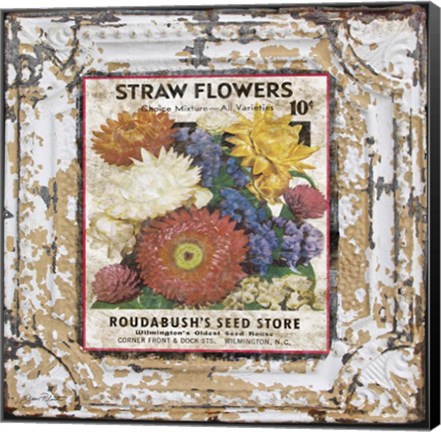 Framed Tin Tile - Straw Flowers Print