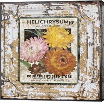 Framed Tin Tile - Helchrysum Print