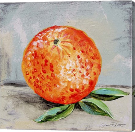 Framed Abstract Kitchen Fruit 6 Print