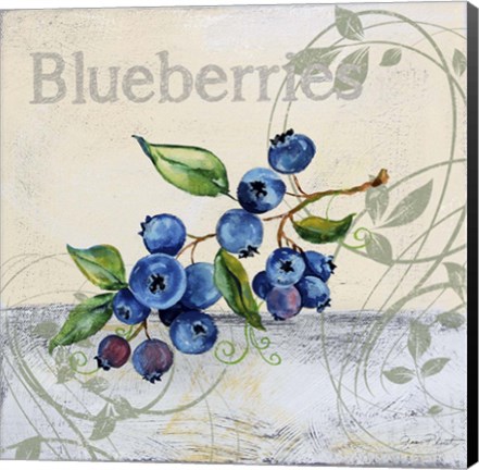 Framed Tutti Fruiti Blueberries Print