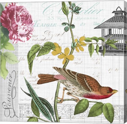 Framed Birdwatchers Dream 2 Print