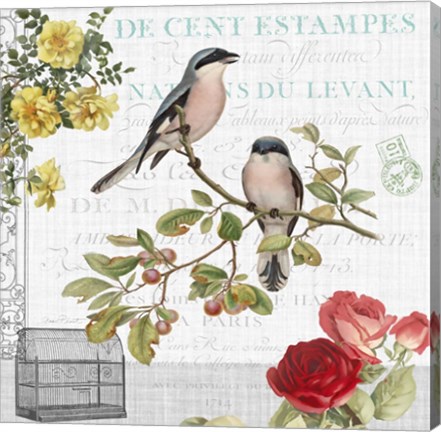 Framed Birdwatchers Dream 4 Print