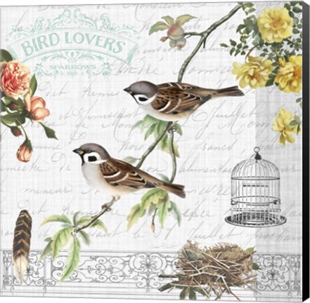 Framed Birdwatchers Dream 5 Print