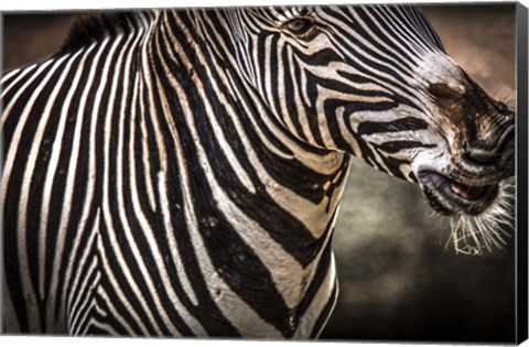 Framed Zebra Print