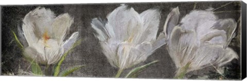 Framed Tulip Triolet Print