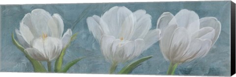 Framed Tulip Triolet 2 Print