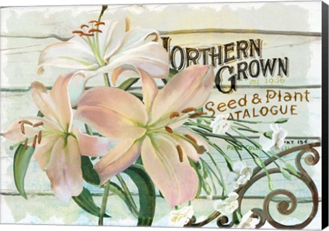 Framed Farm Seed Lilies Print