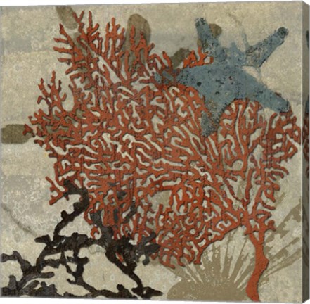 Framed Coastal 4 Print