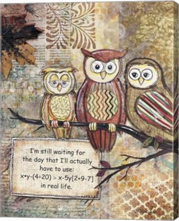Framed Wise Owls Print