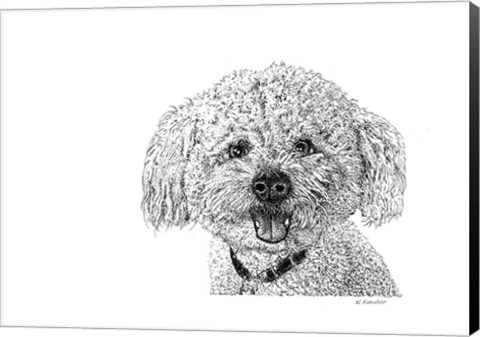 Framed Bichon Print