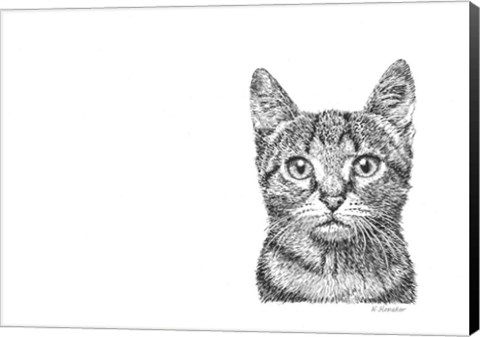 Framed Cat Print