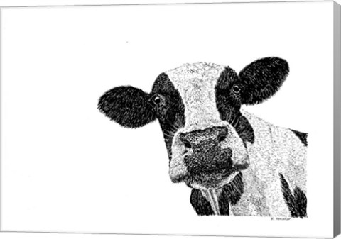 Framed Cow Print