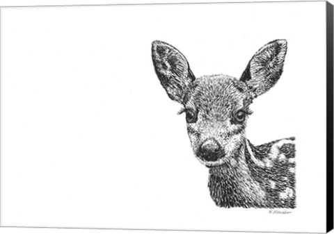Framed Deer Print
