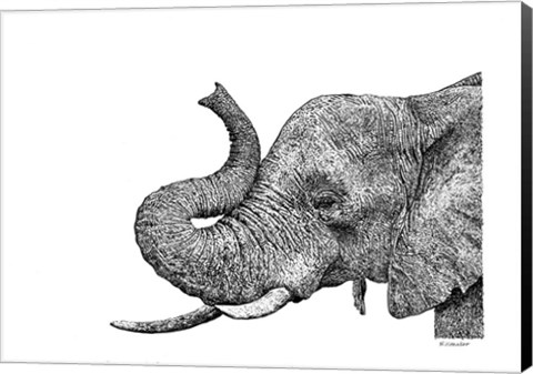 Framed Elephant Print
