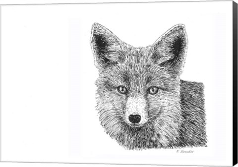 Framed Fox Print