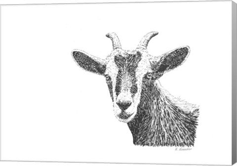 Framed Goat Print