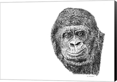 Framed Gorilla Print