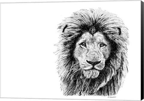Framed Lion Print