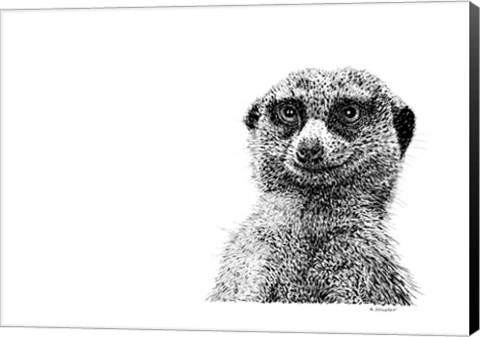 Framed Meerkat Print