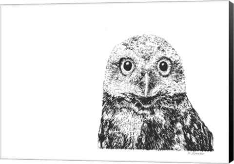 Framed Owl Print