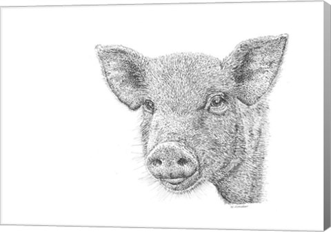 Framed Pig Print