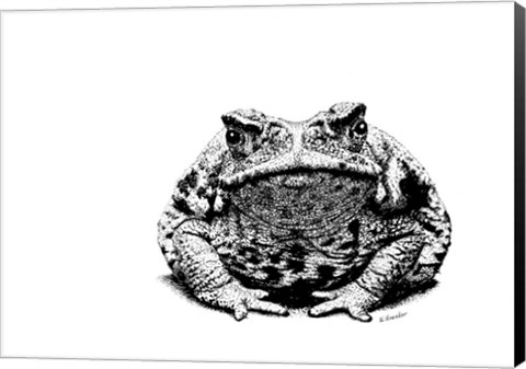 Framed Toad Print