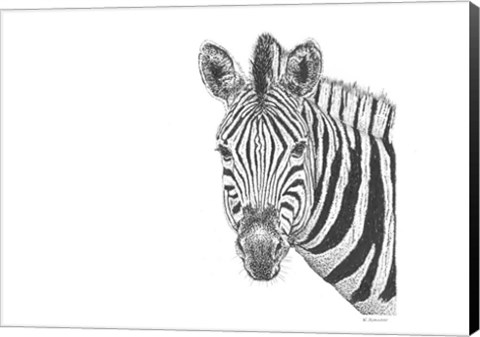 Framed Zebra Print