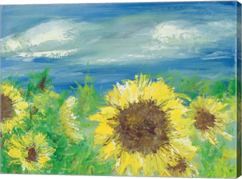 Framed Eastern Plains Sunflower Print