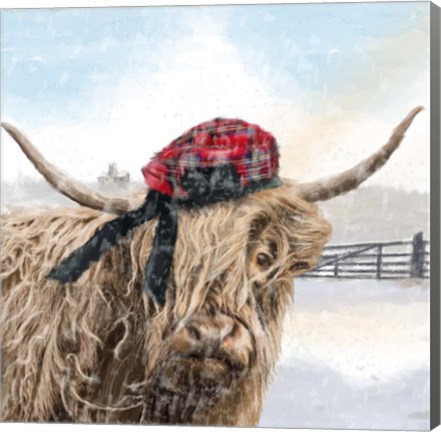 Framed Highland Cow 2 Print