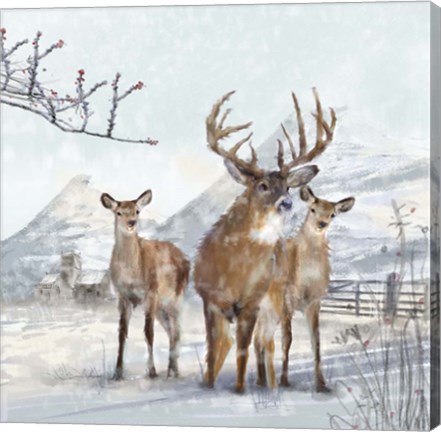 Framed Stag And Females Print