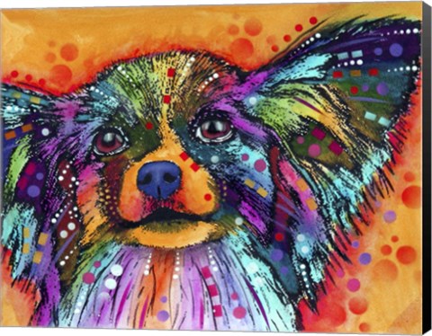 Framed Papillion Print