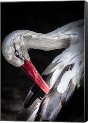 Framed Stork II Print