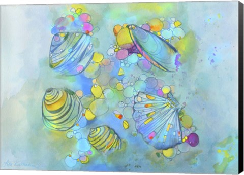 Framed Malacology Mixed Media Print