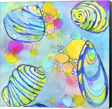 Framed Seashell Print