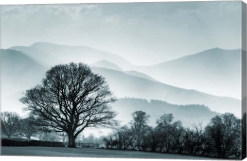Framed Blue Landscape with Tree Print