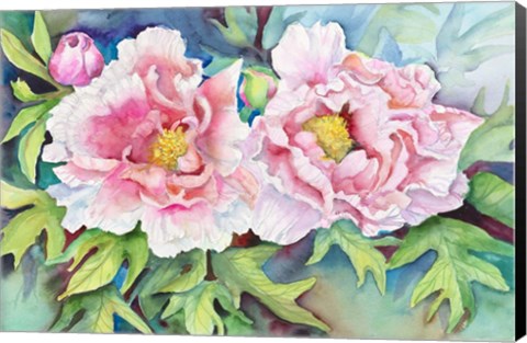 Framed Pair of Peonies Print