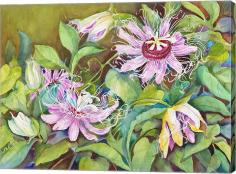 Framed Passion Flower Print