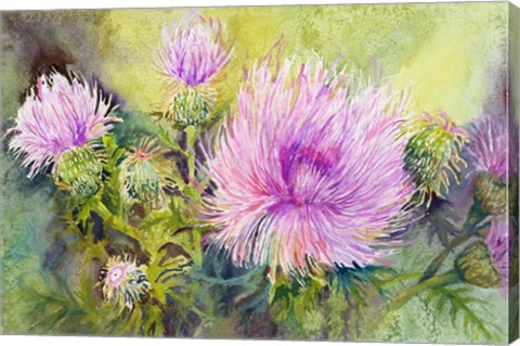 Framed Wild Thistles Print