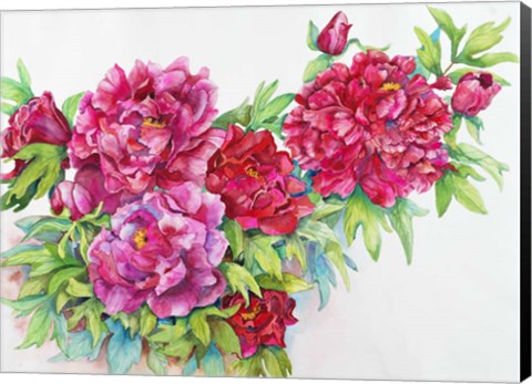 Framed Study of Red Peonies Print