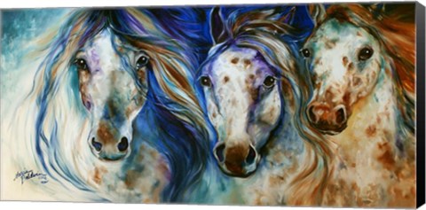 Framed 3 Wild Appaloosa Horses Print